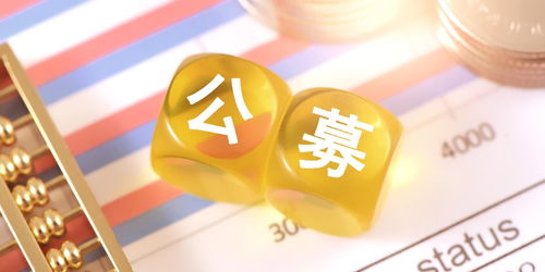 吳清 加快推出機(jī)構(gòu)投資者直銷服務(wù)平臺(tái) 便利各類機(jī)構(gòu)投資者參與基金投資